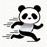 熊猫体育官方网站Logo - 一只可爱的熊猫手持运动器材